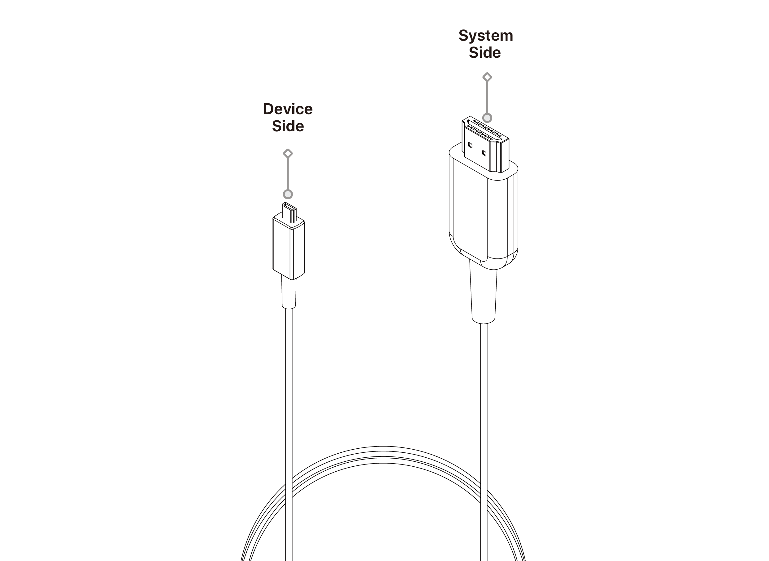 text1