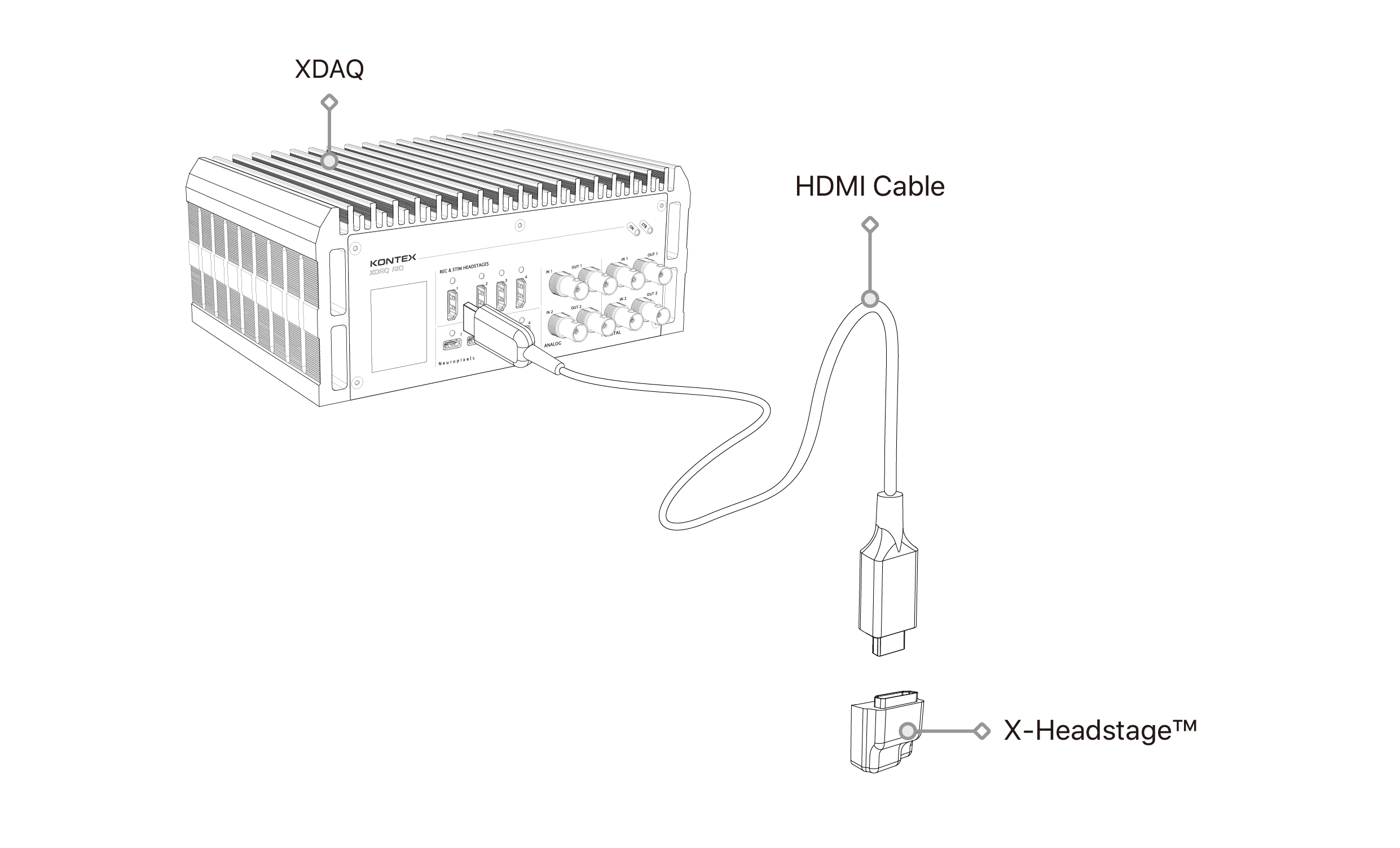 text1