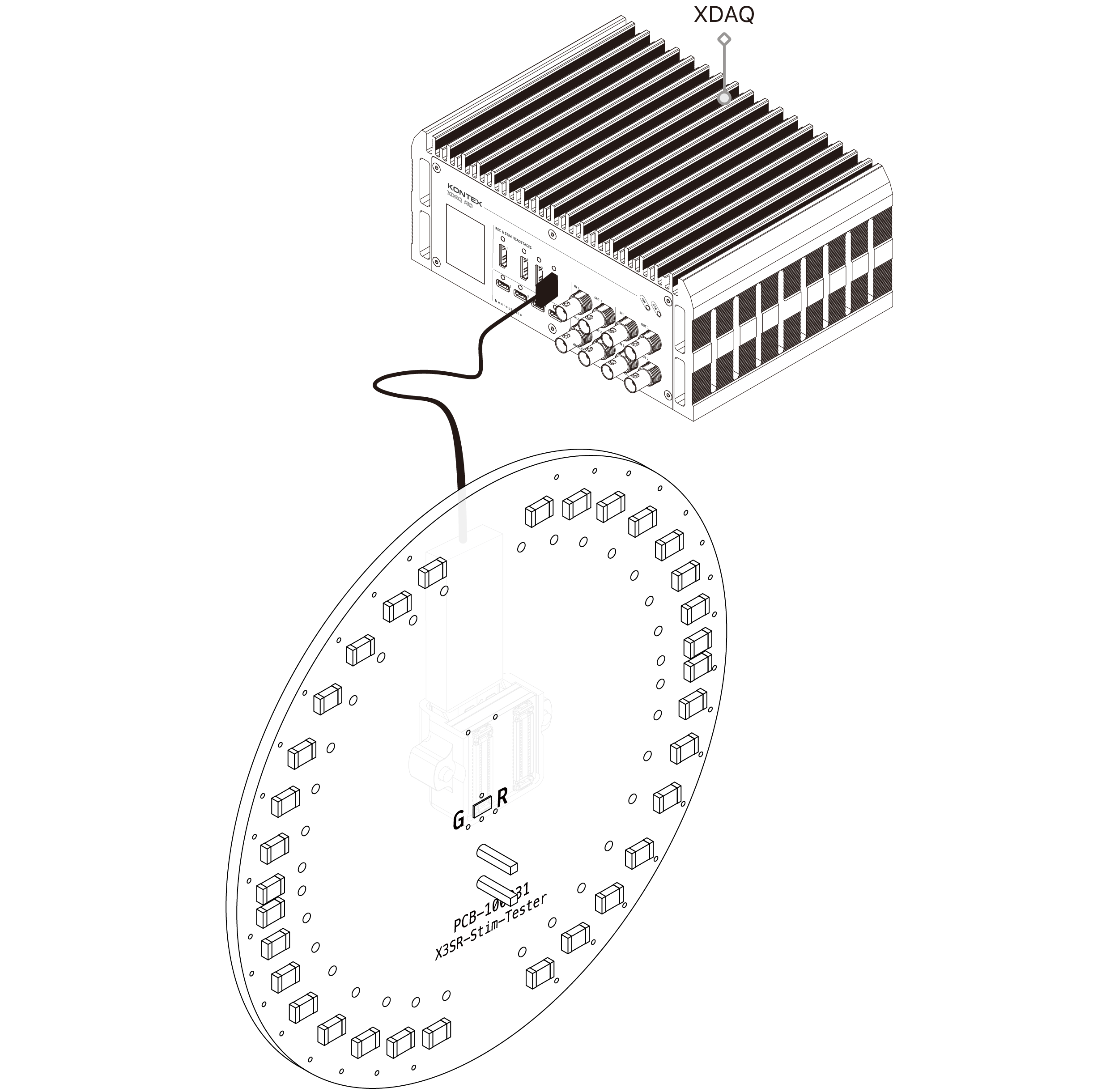 text1