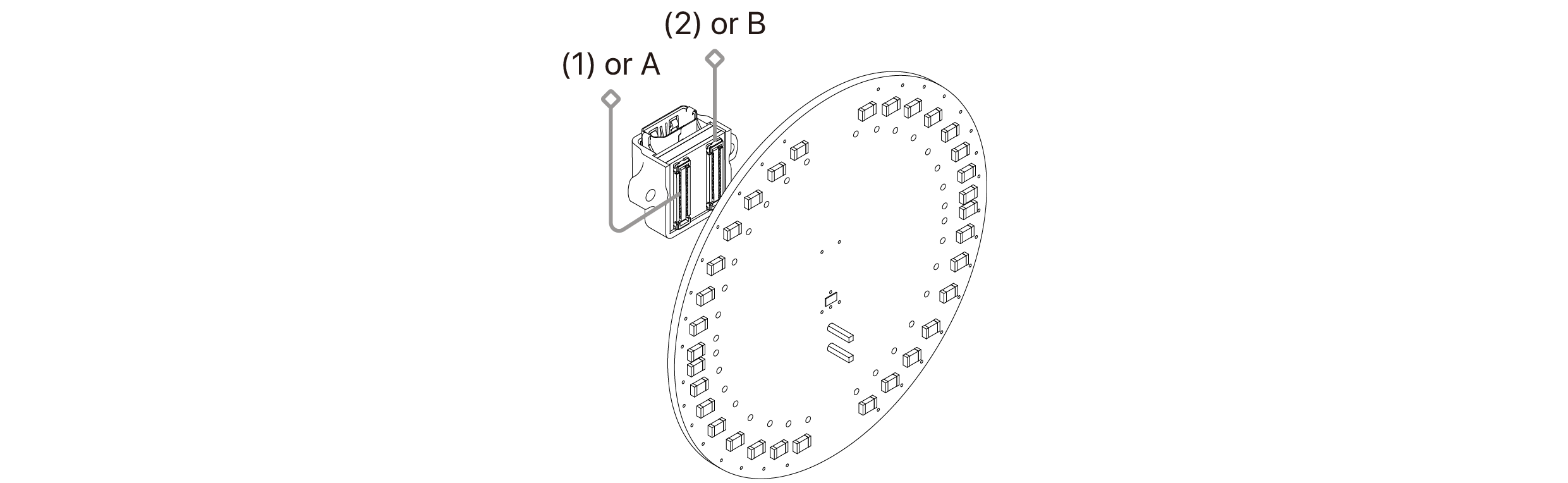 text1
