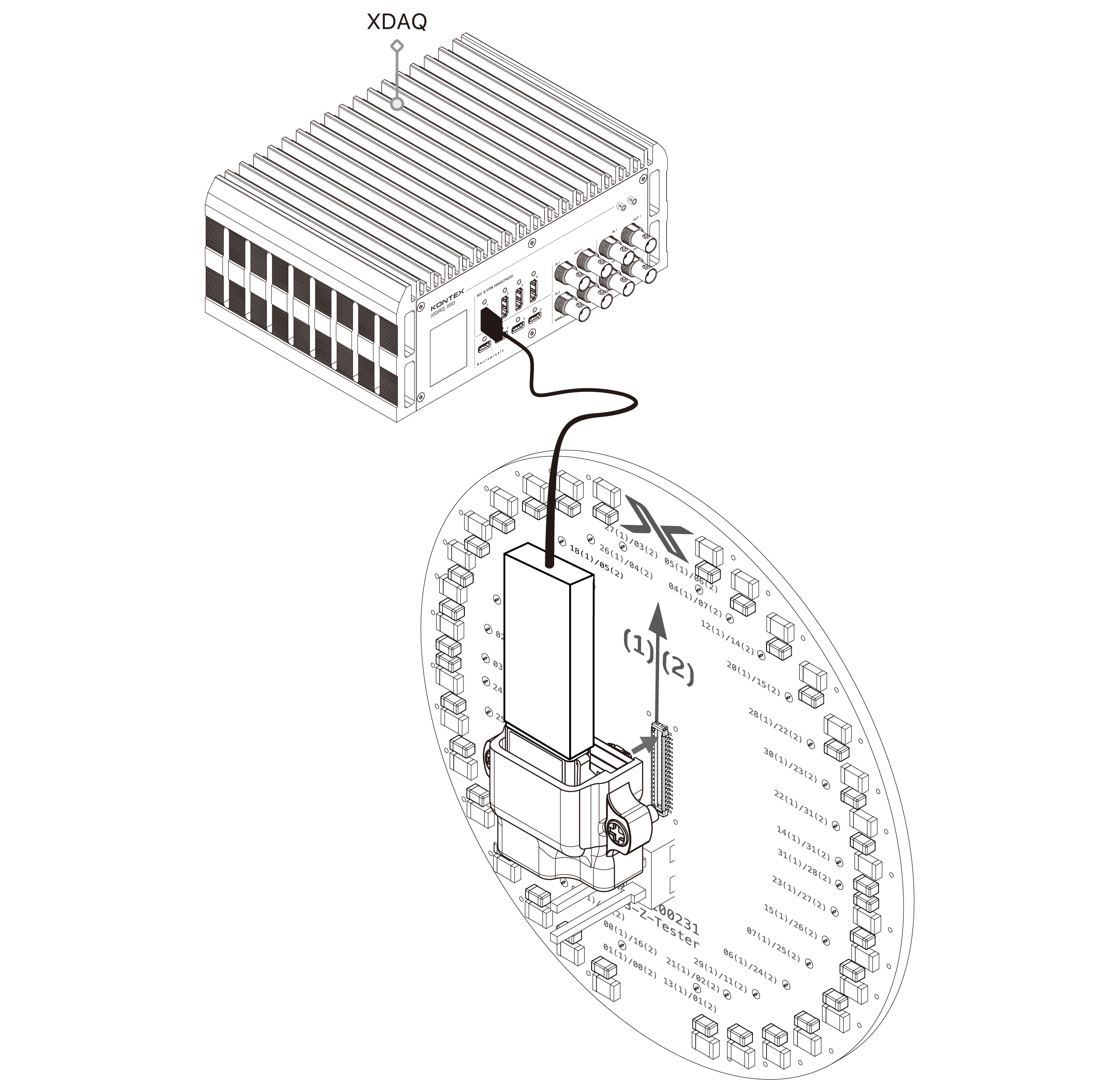 text1