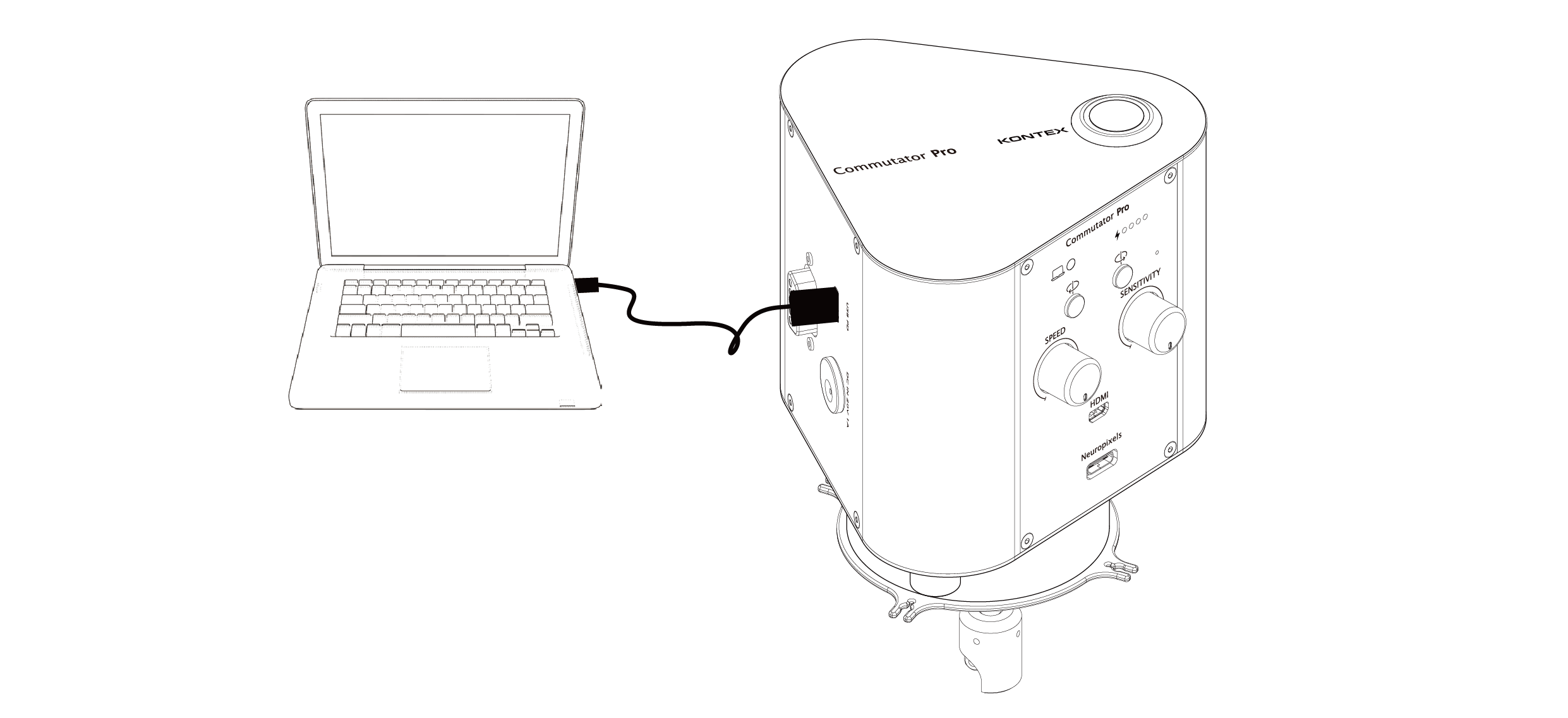 text1