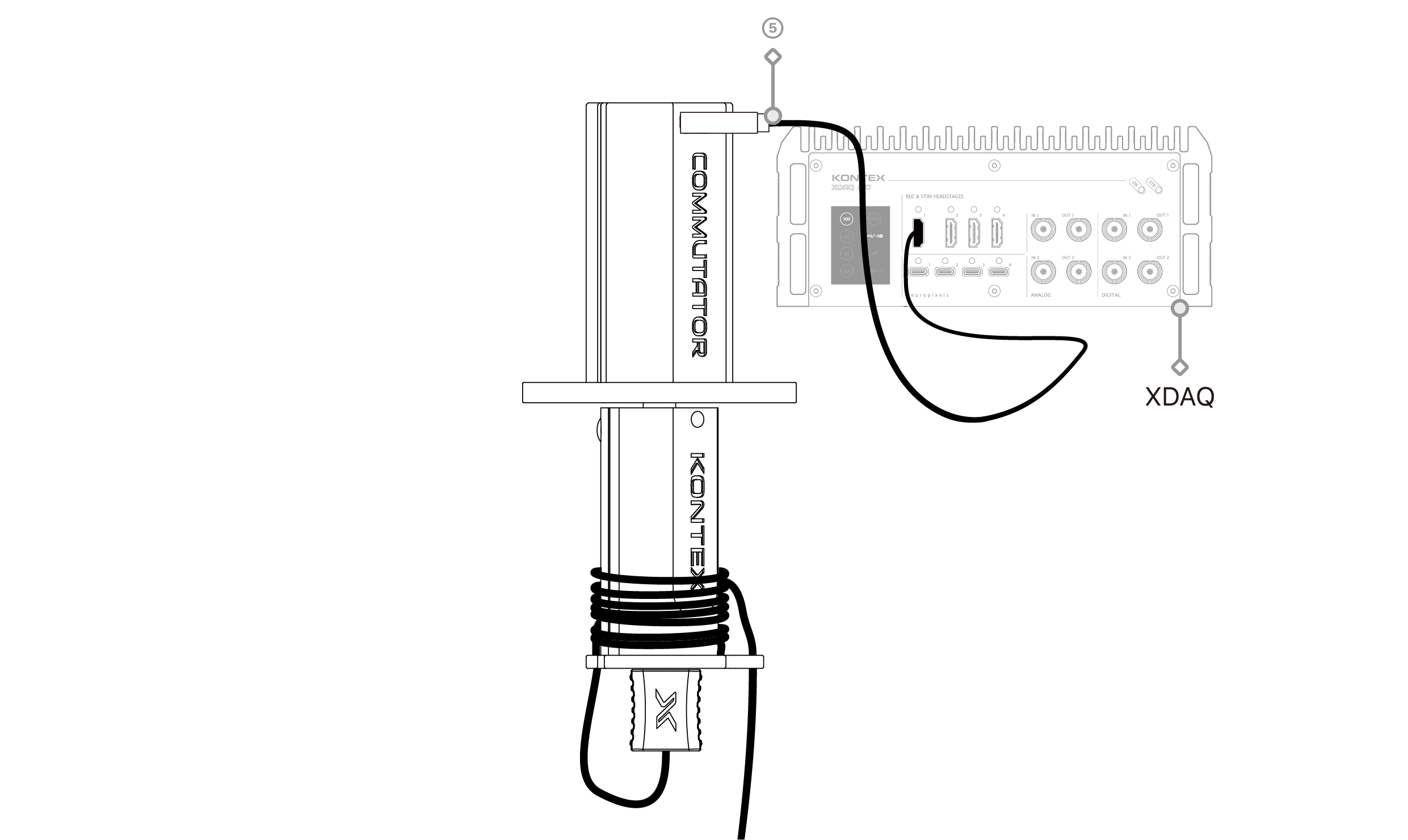 text1