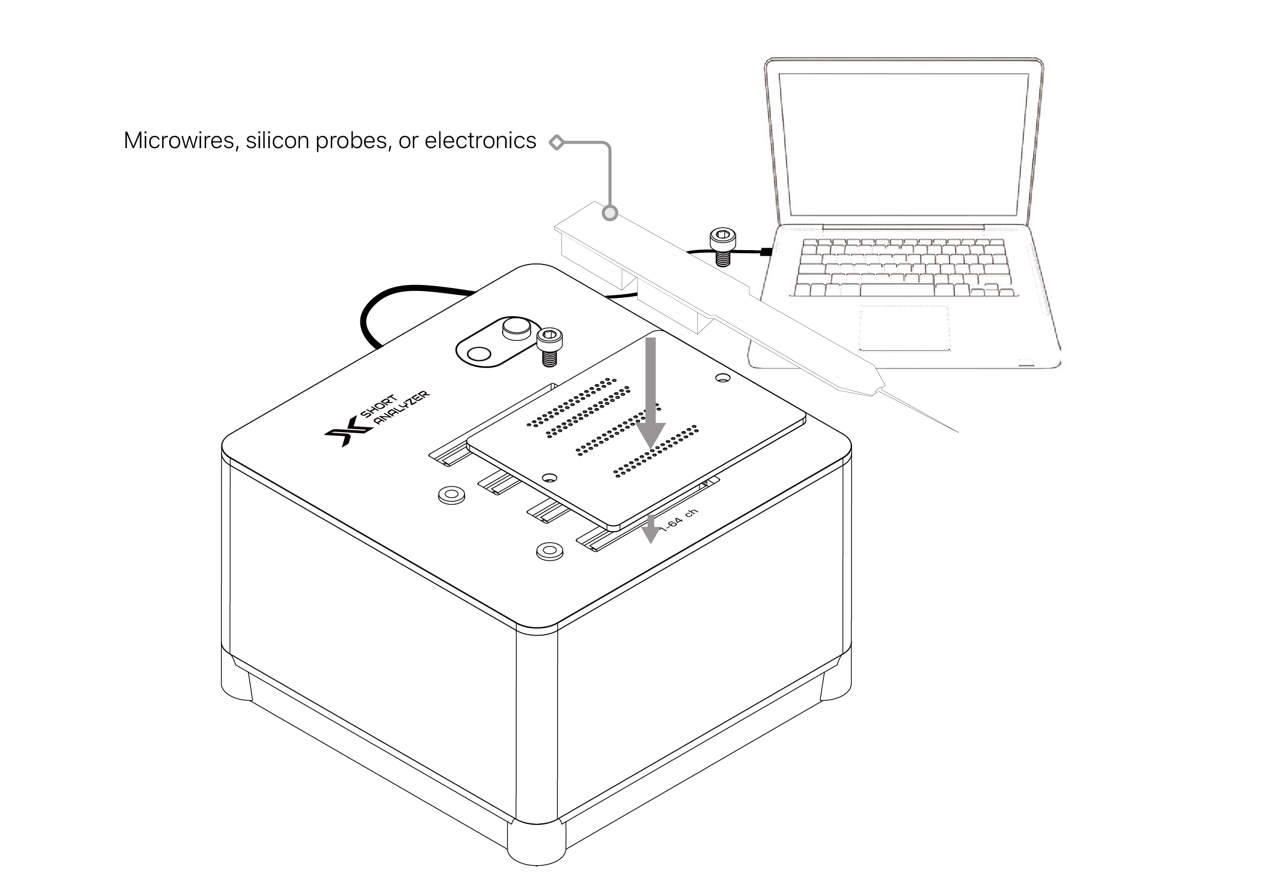 text1