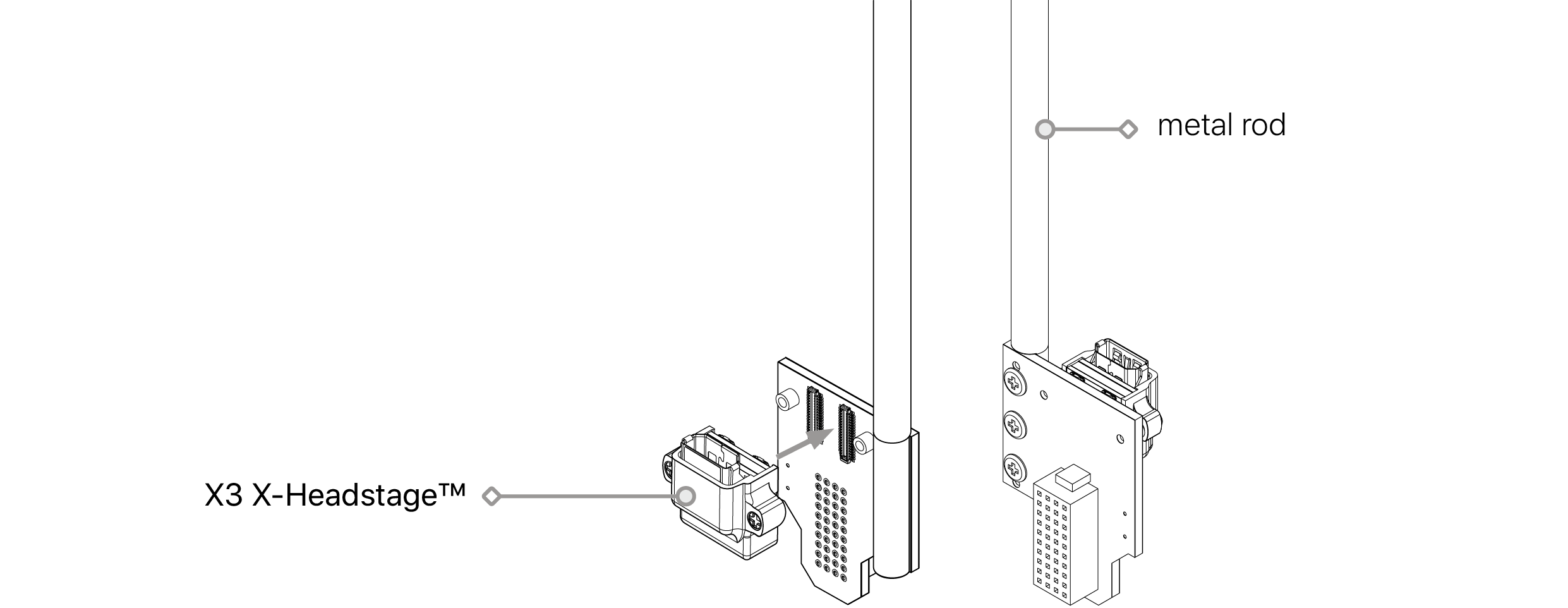 text1
