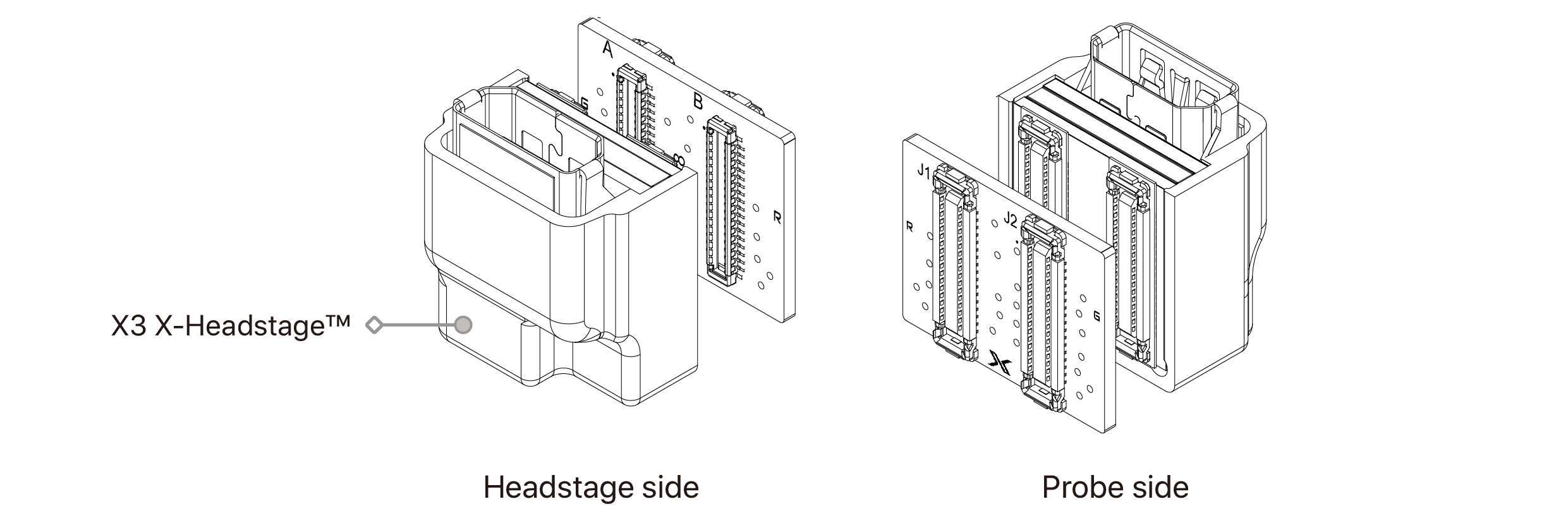 text1
