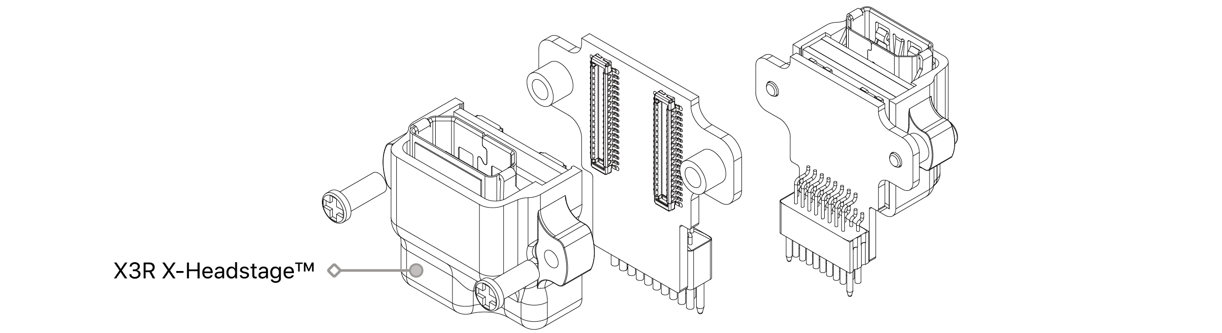 text1