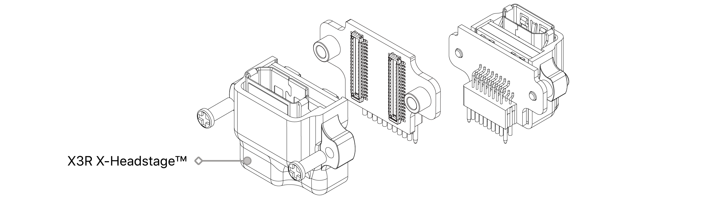 text1