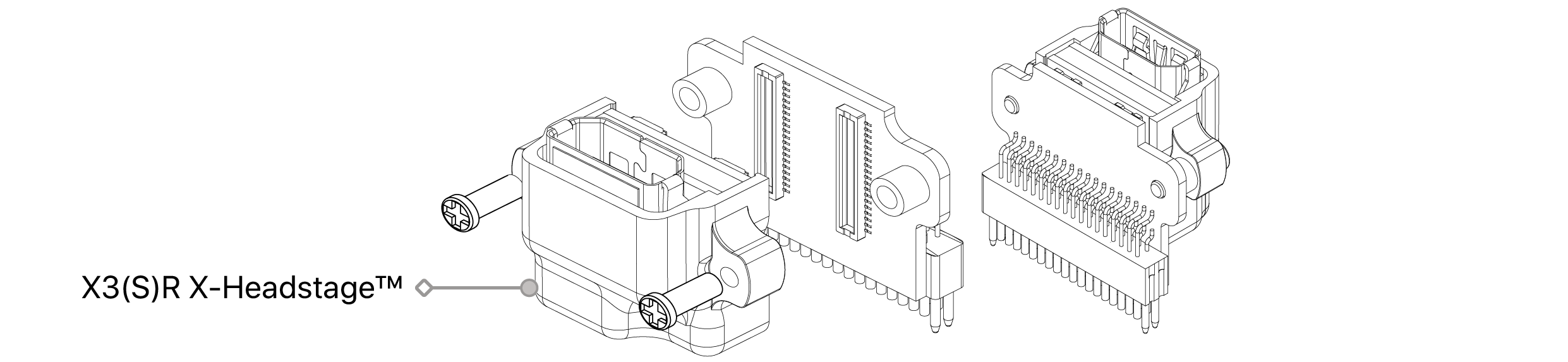 text1