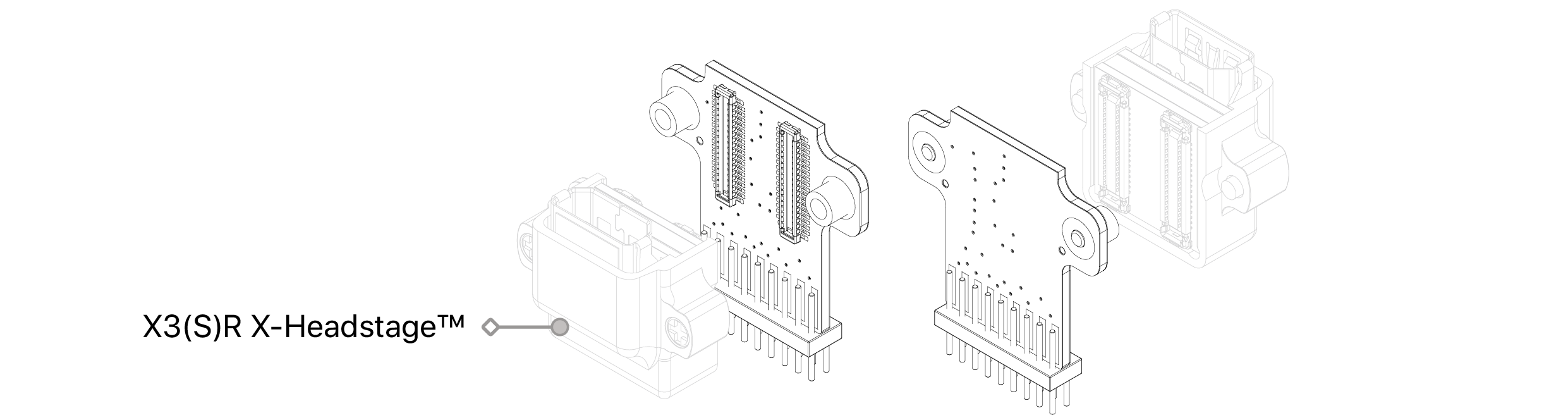 text1