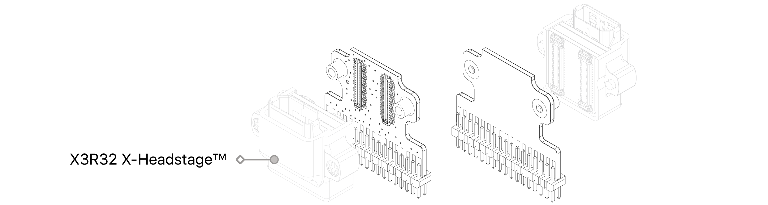 text1