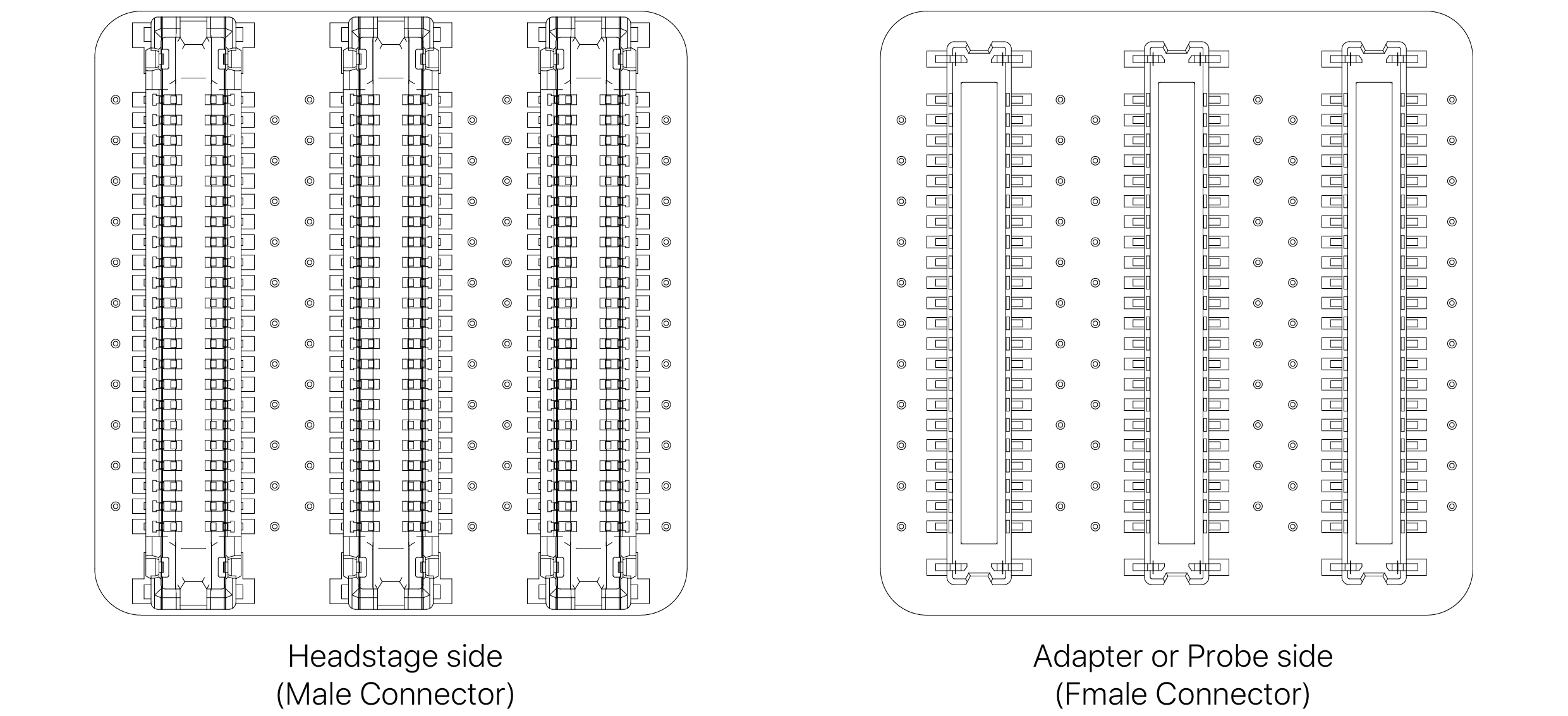 text1