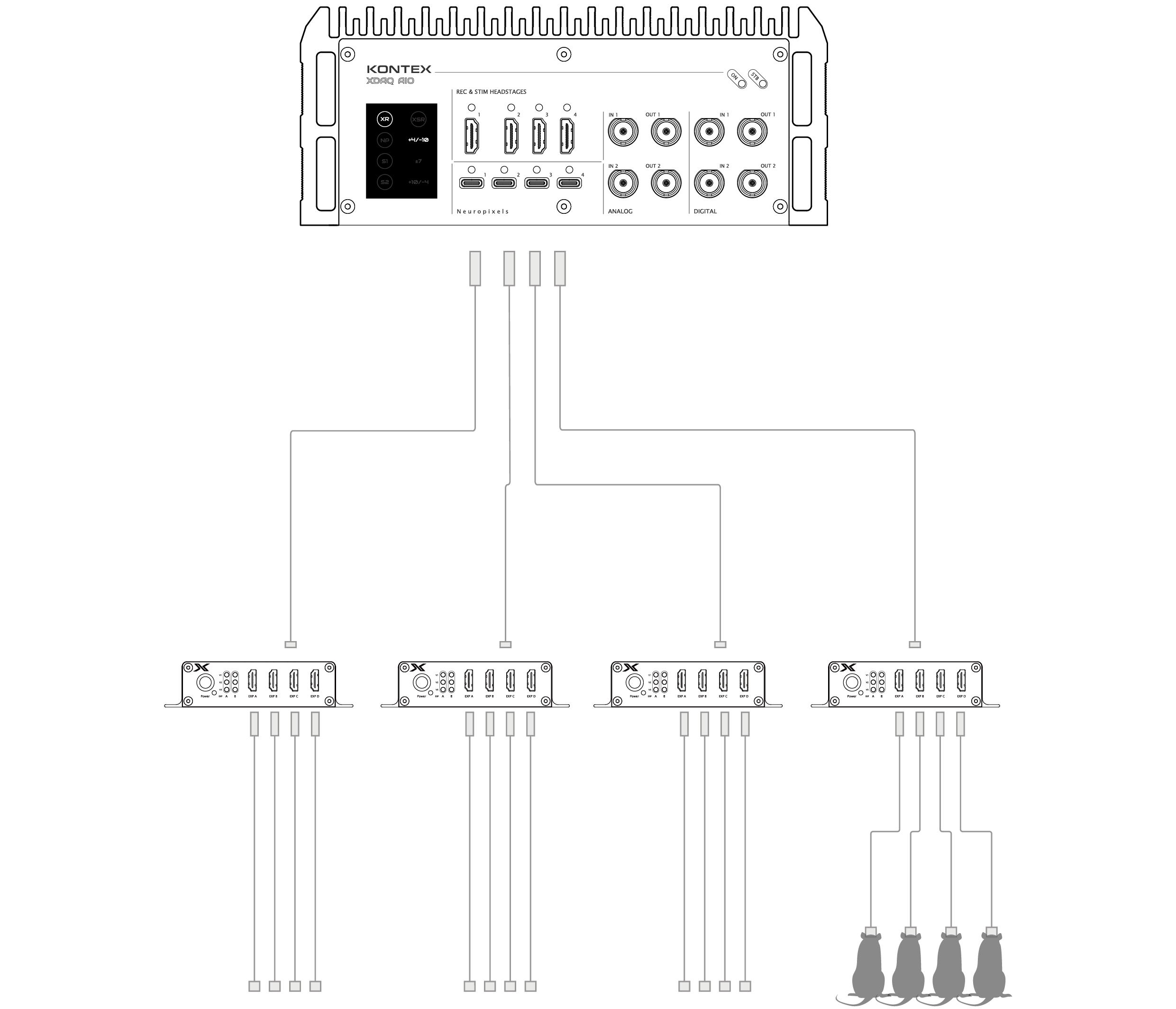 text1