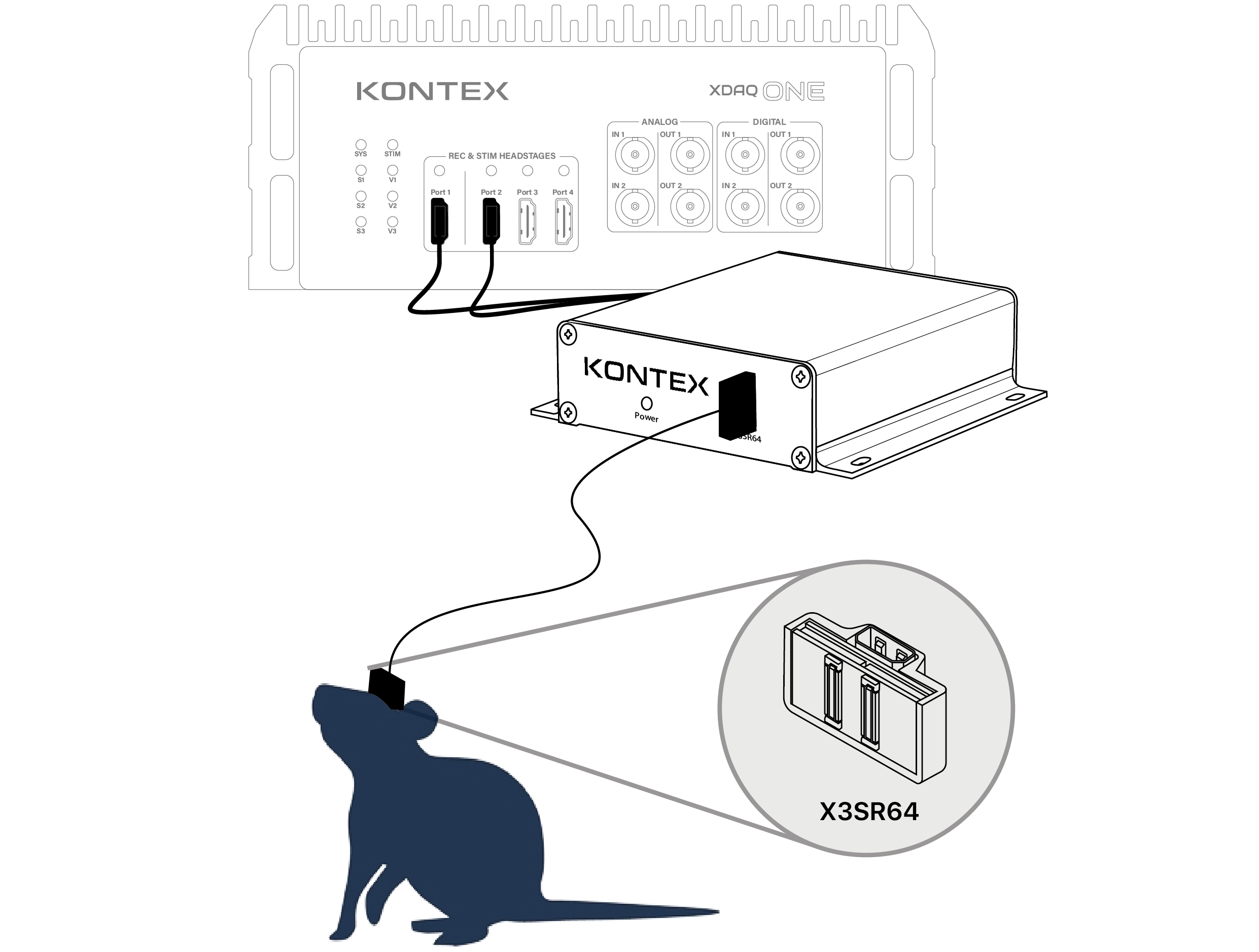 text1