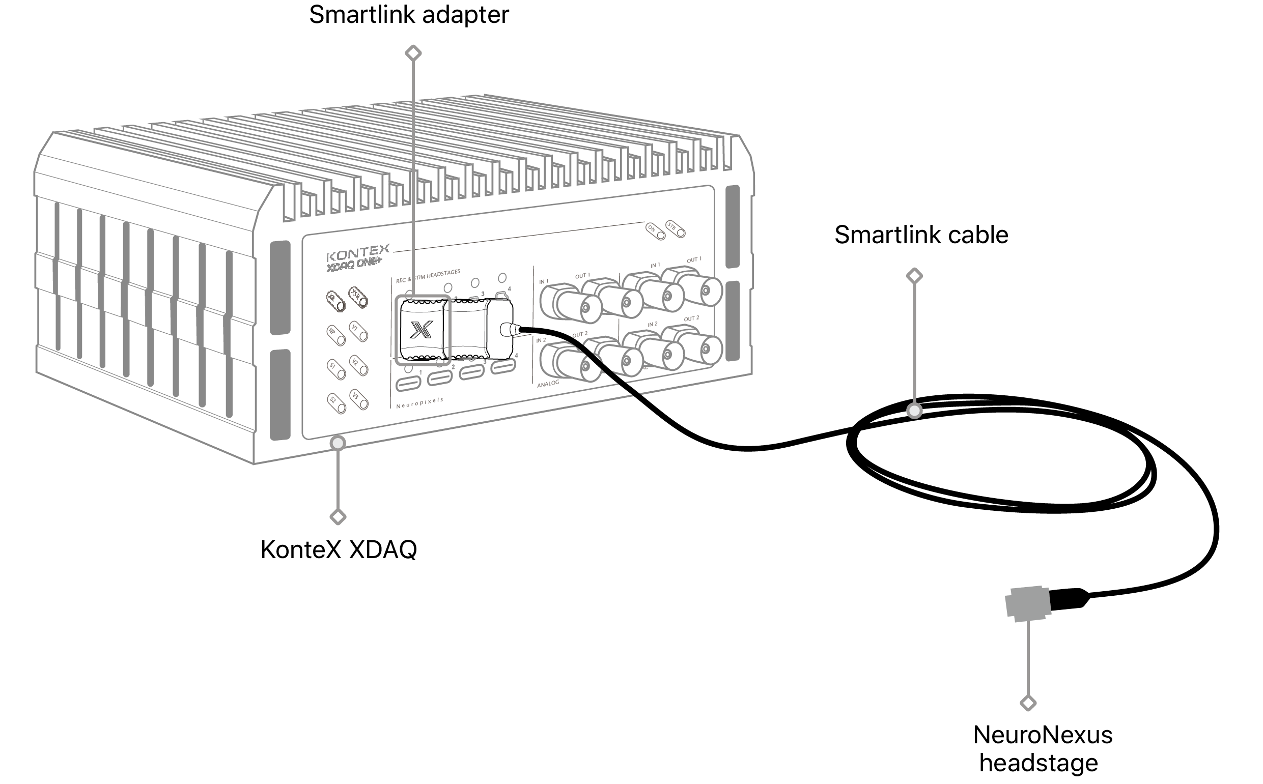 text1