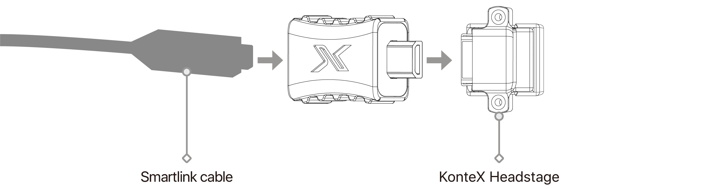 text1